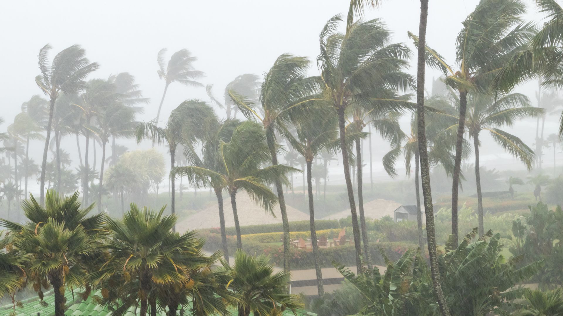 Grid Resilience and Emergency Preparedness
